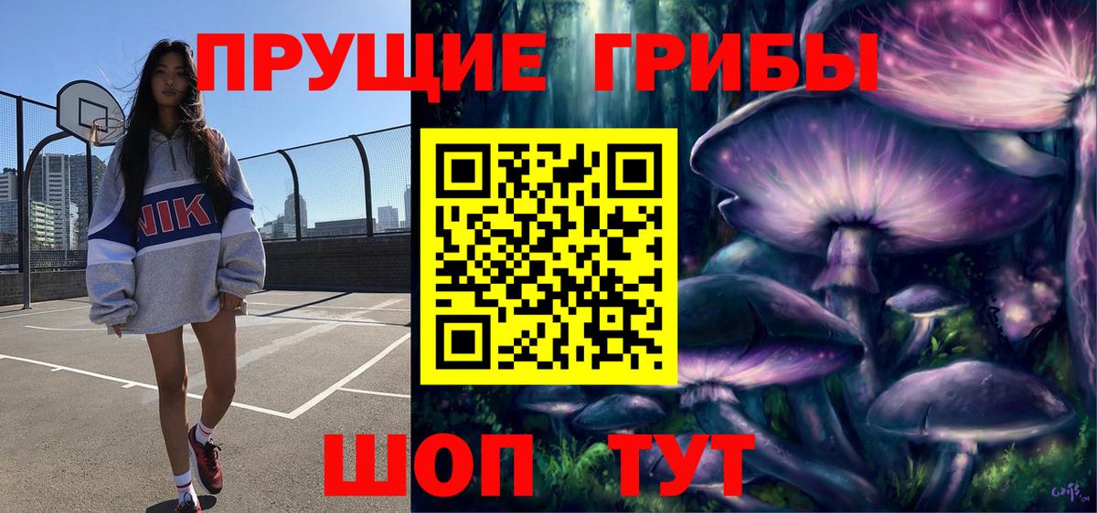 Галлюциногенные грибы GOLDEN TEACHER  Вход с VPN  цена наркотик  Малоярославец  Псилоцибиновые грибы MAGIC MUSHROOMS 