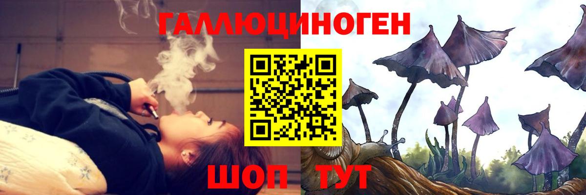 Псилоцибиновые грибы прущие грибы Малоярославец